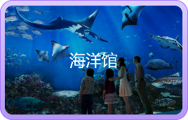 海洋馆