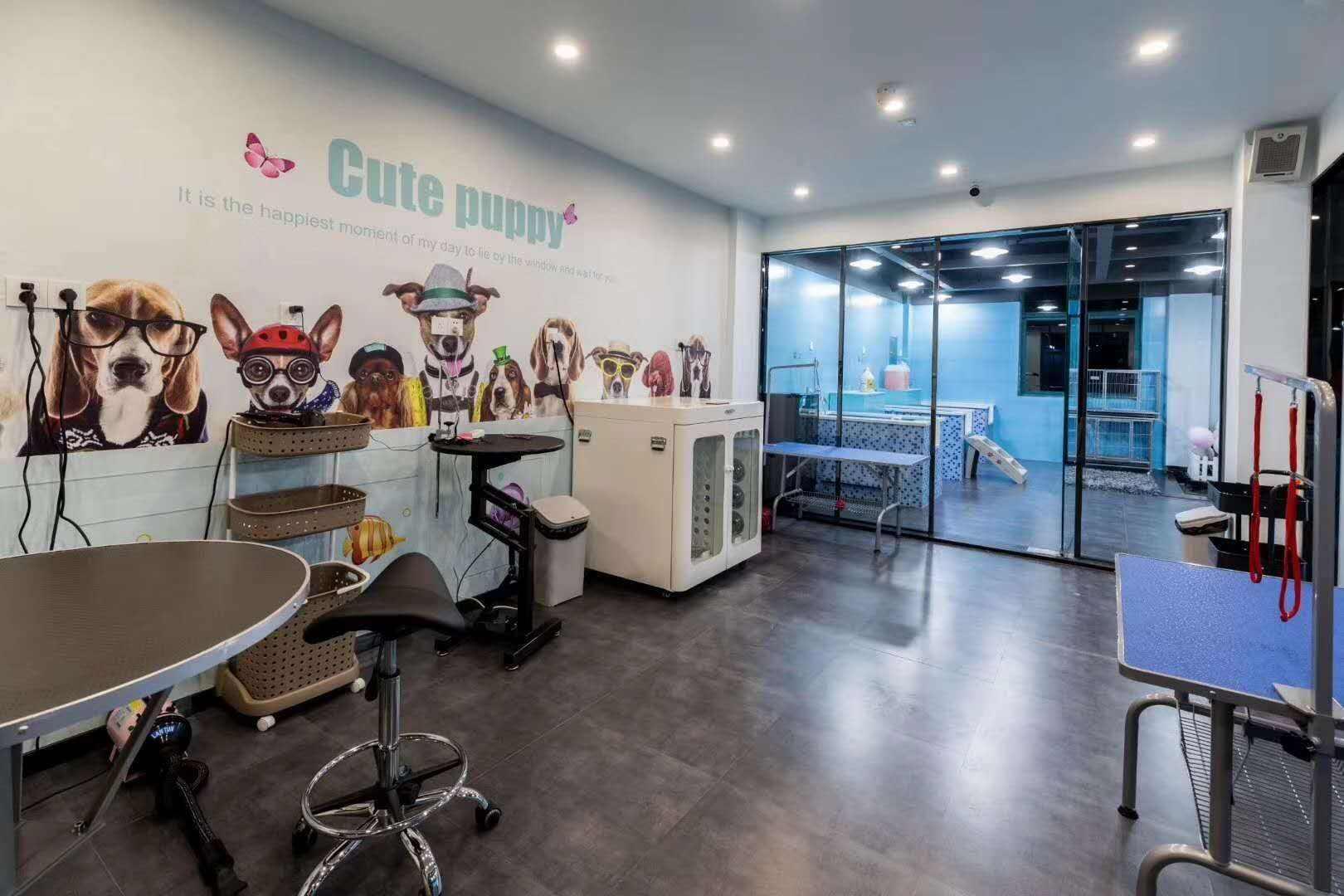 宠物店收银管理系统